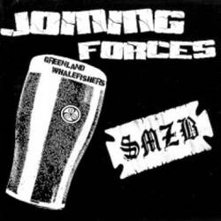 SMZB : Joining Forces